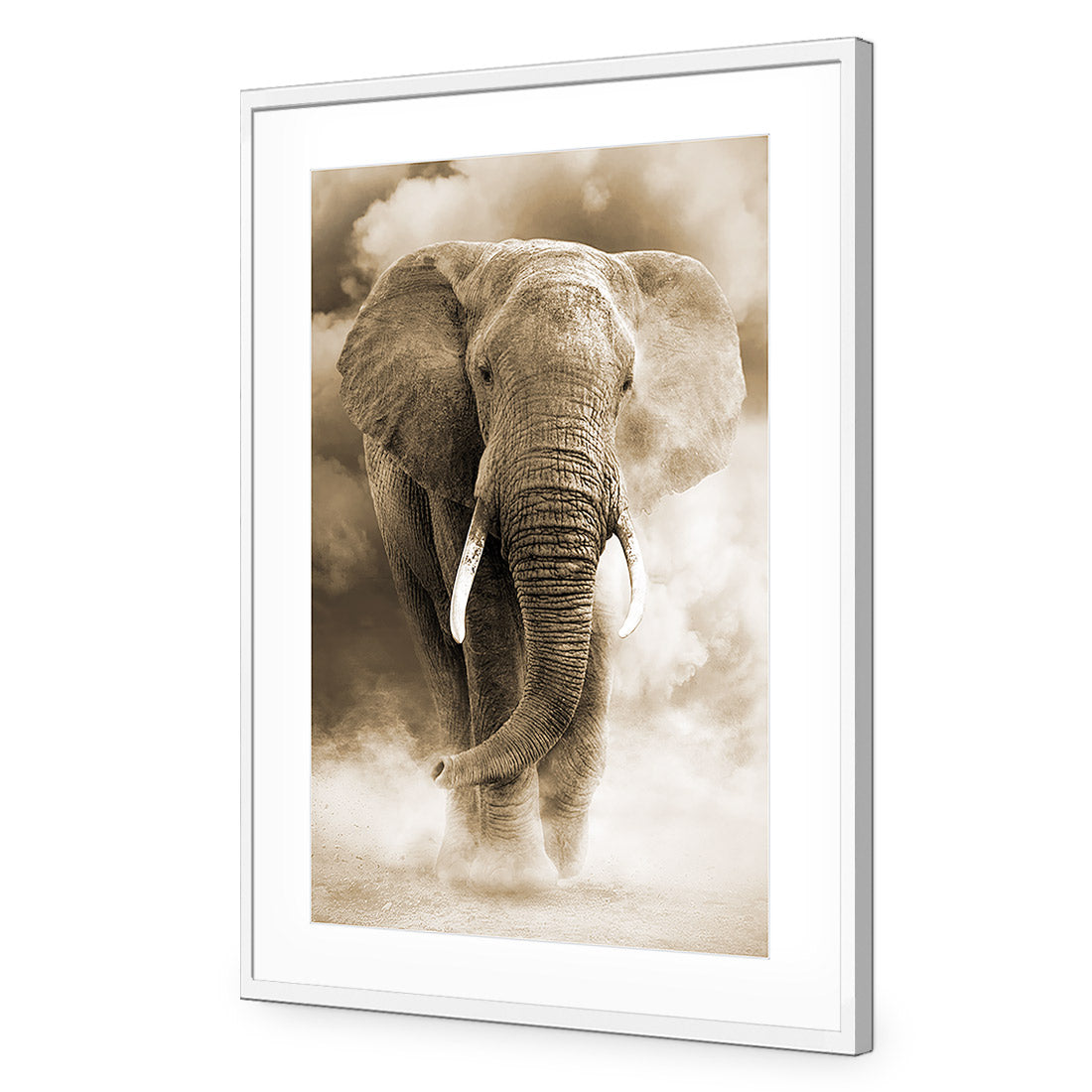 Elephant in Dust, Sepia