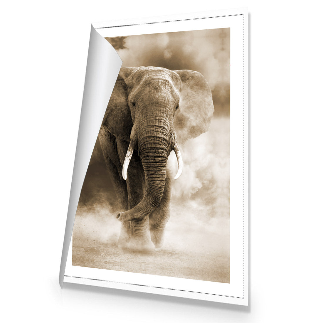 Elephant in Dust, Sepia