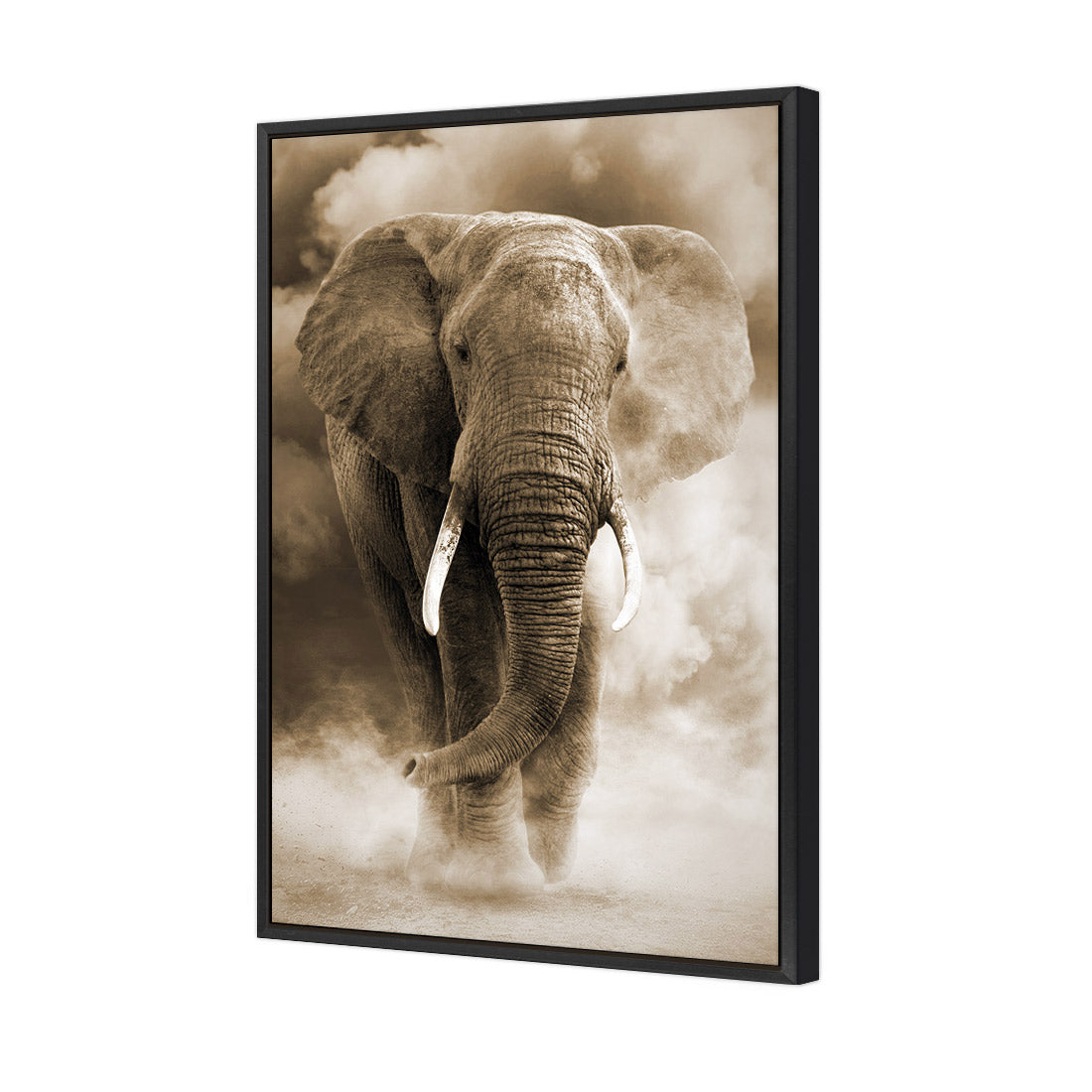 Elephant in Dust, Sepia