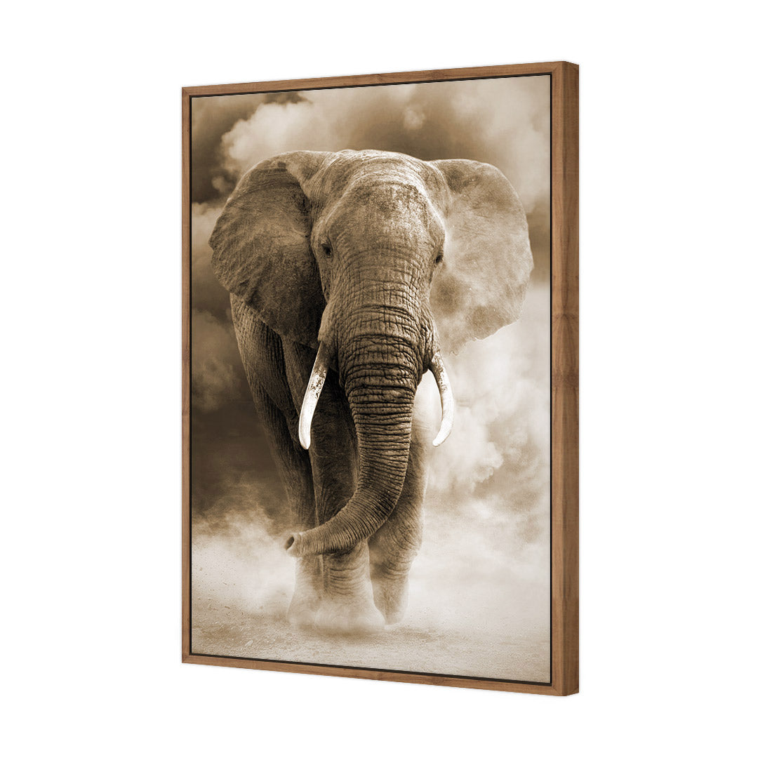 Elephant in Dust, Sepia