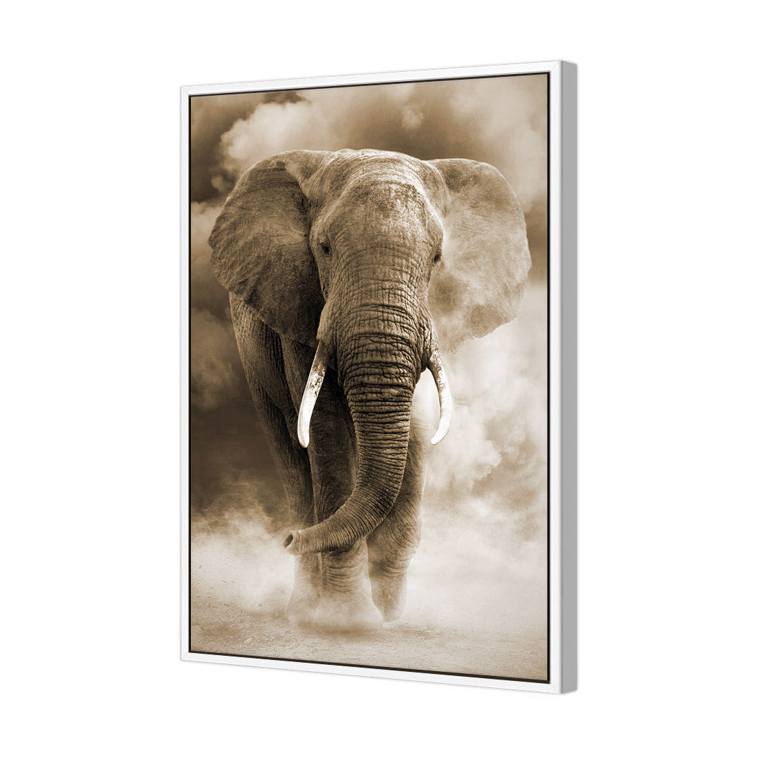 Elephant in Dust, Sepia