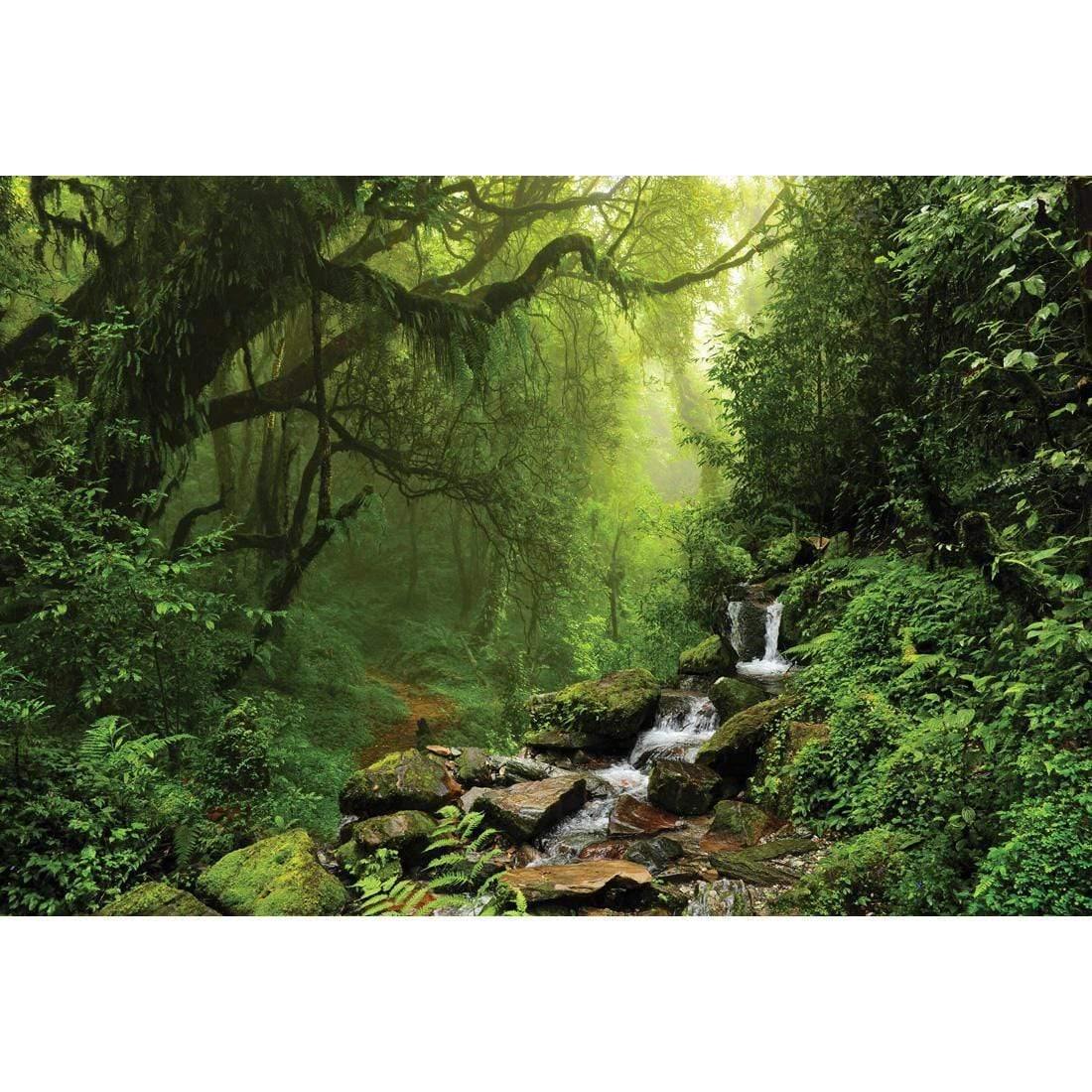 Romantic Rainforest