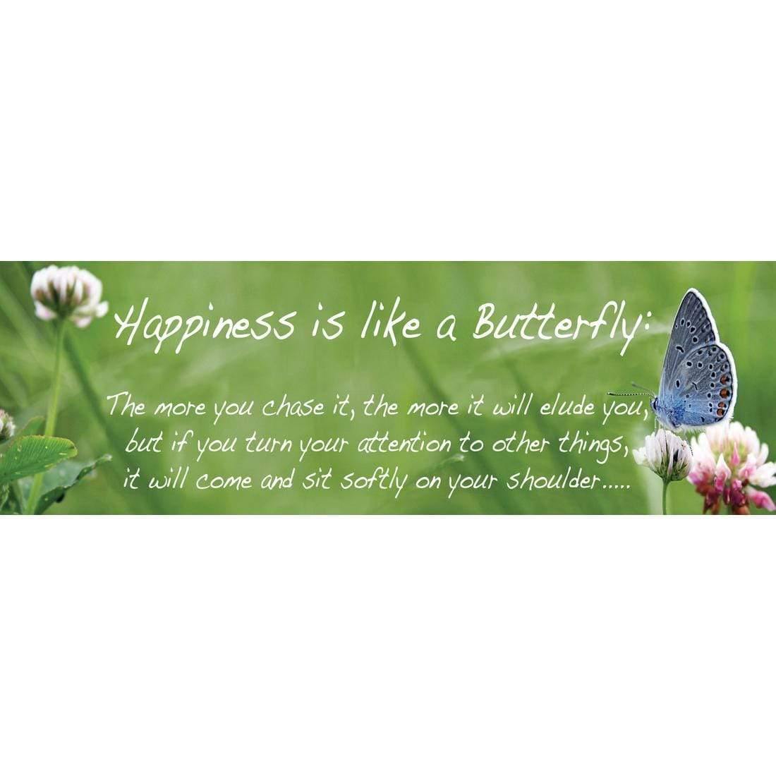 Happiness is like a Butterfly (long)