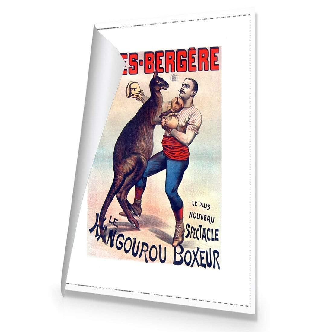 Kangaroo Boxer By Folies Bergere