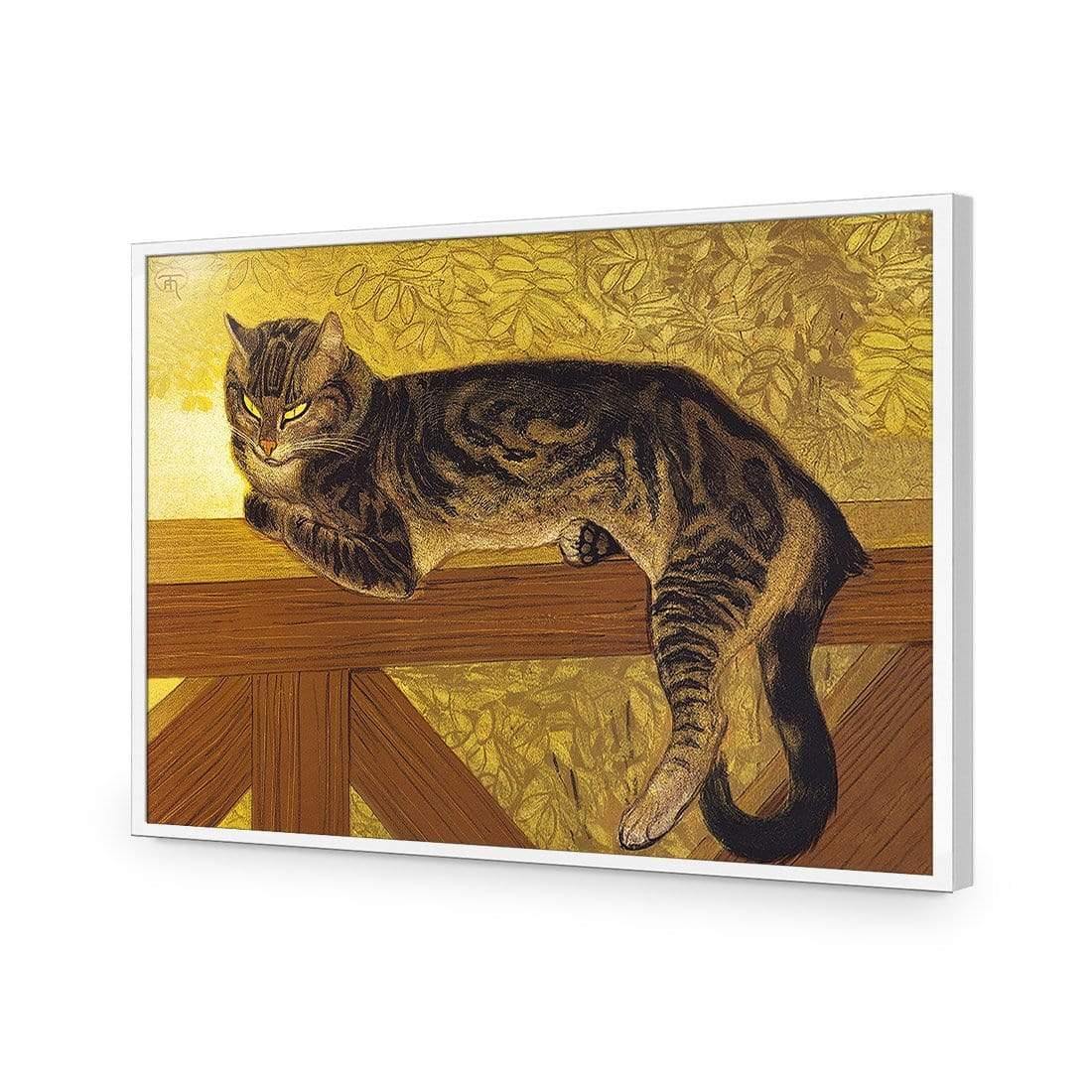 Summer Cat on a Balustrade By Steinlen