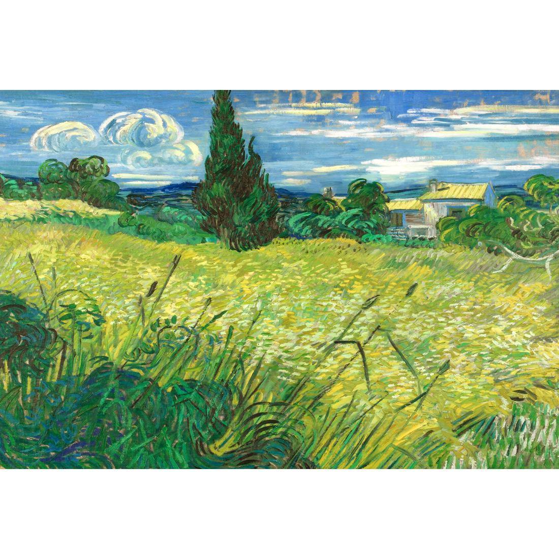 Green Field By Van Gogh