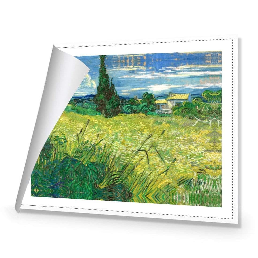 Green Field By Van Gogh