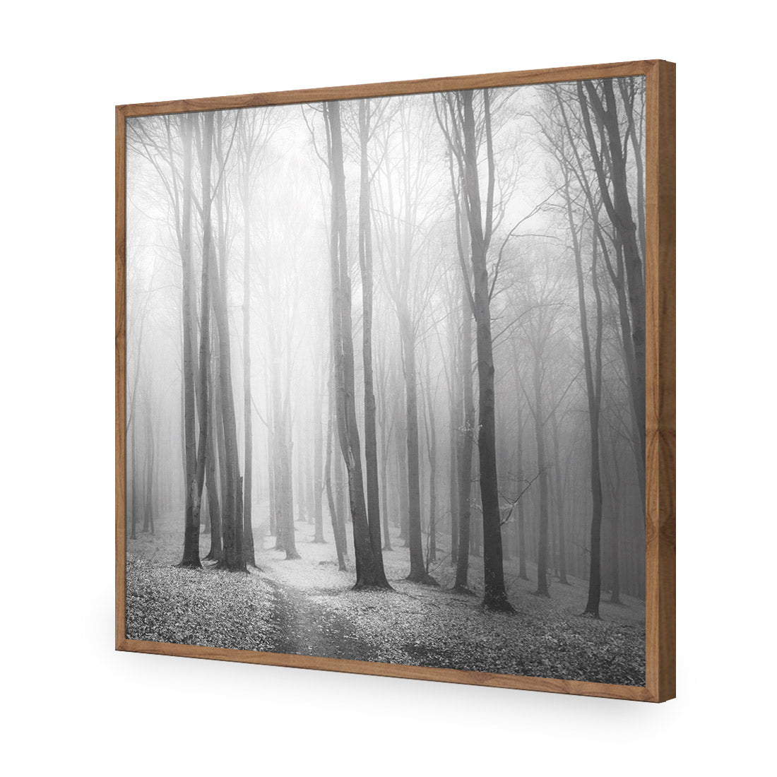 Forest of Fire, Black and White (square)