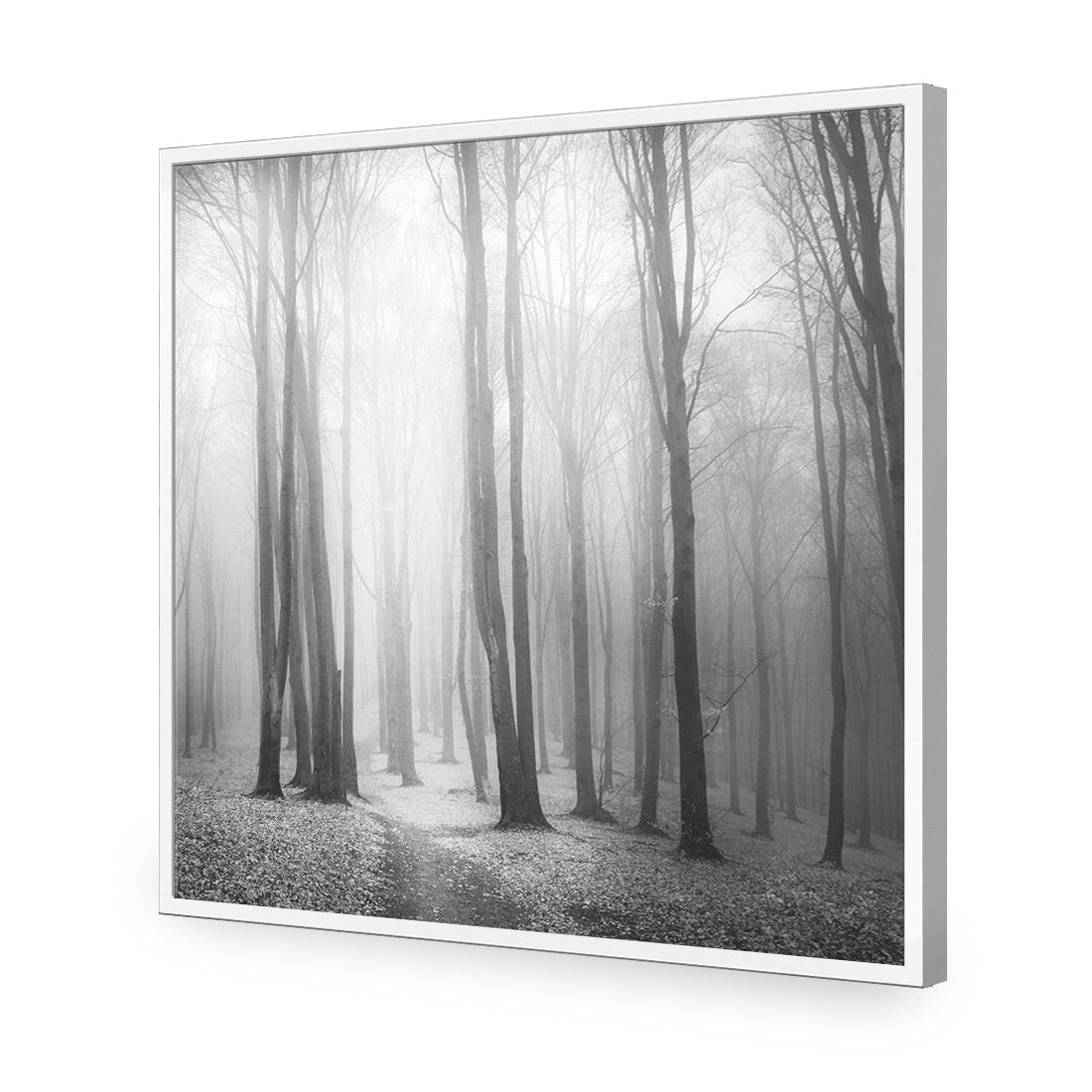 Forest of Fire, Black and White (square)