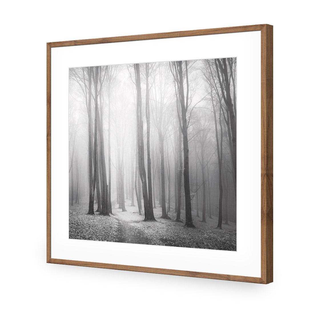 Forest of Fire, Black and White (square)