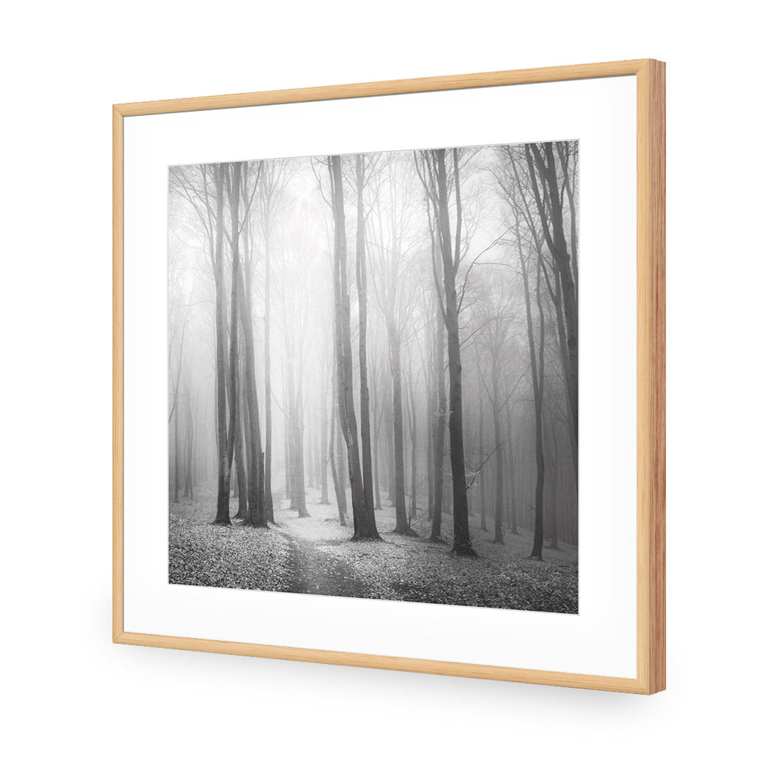 Forest of Fire, Black and White (square)