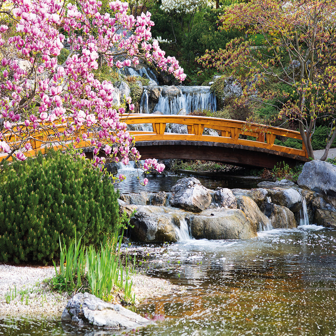 Magnolia Garden Bridge (square)