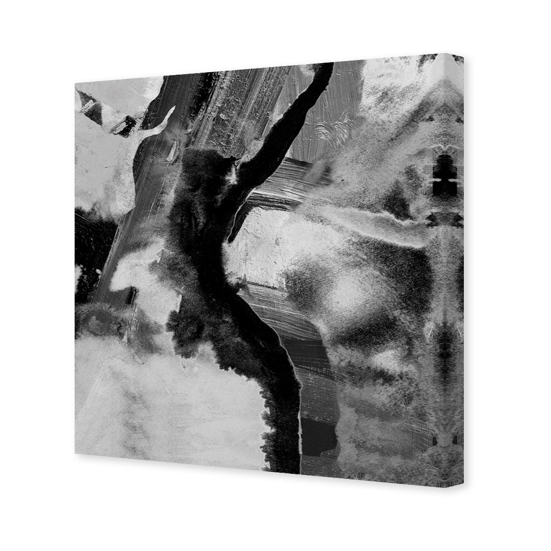 Vivid Imagination, Black and White (square)