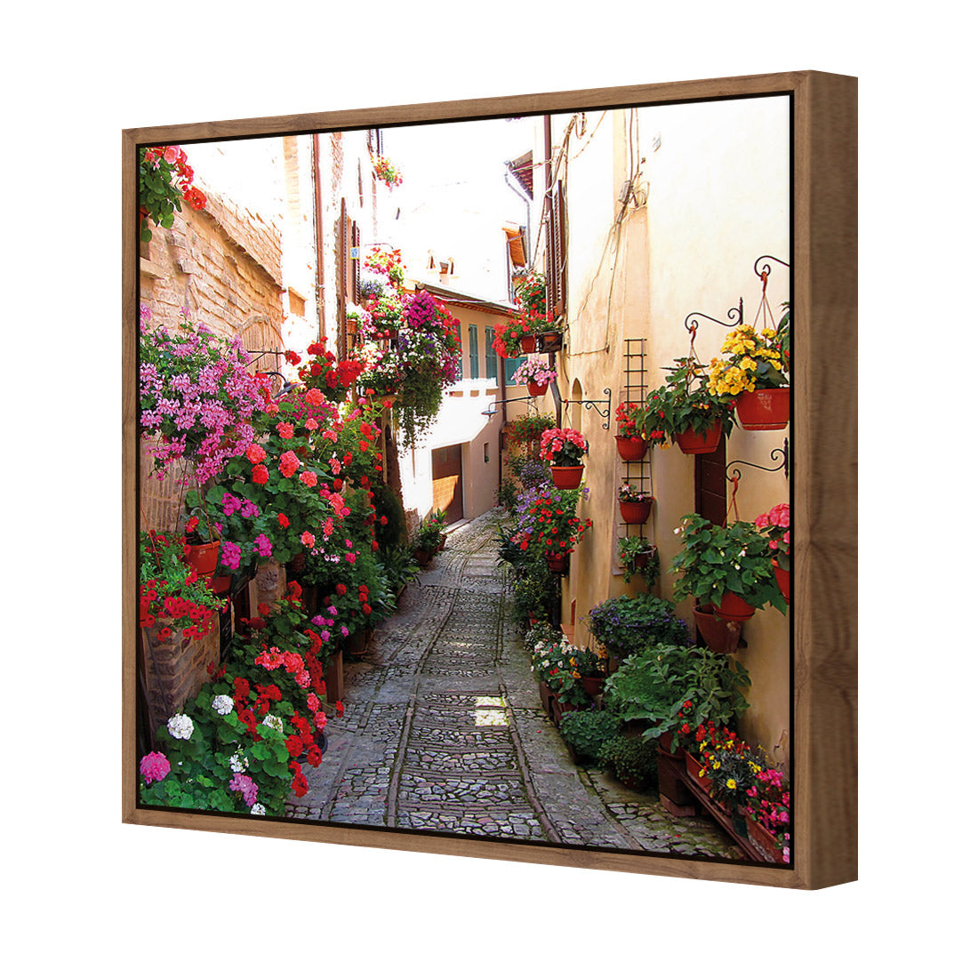 Floral Alley in Italy (square)