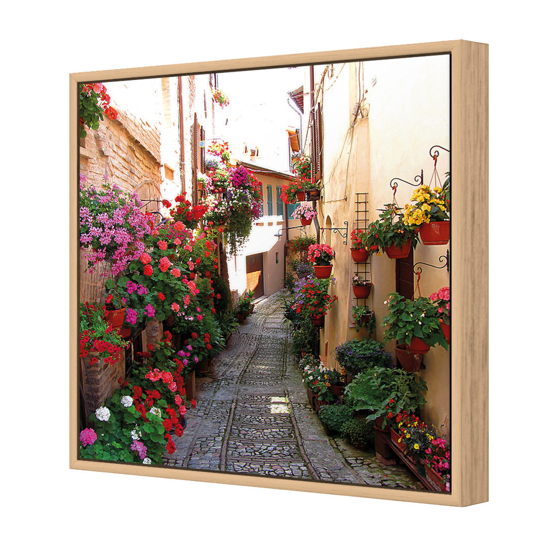 Floral Alley in Italy (square)