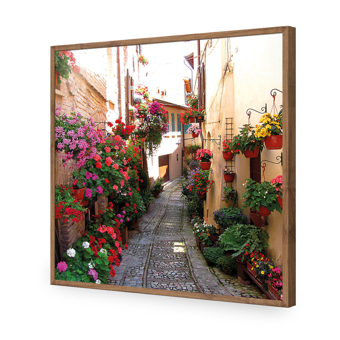 Floral Alley in Italy (square)