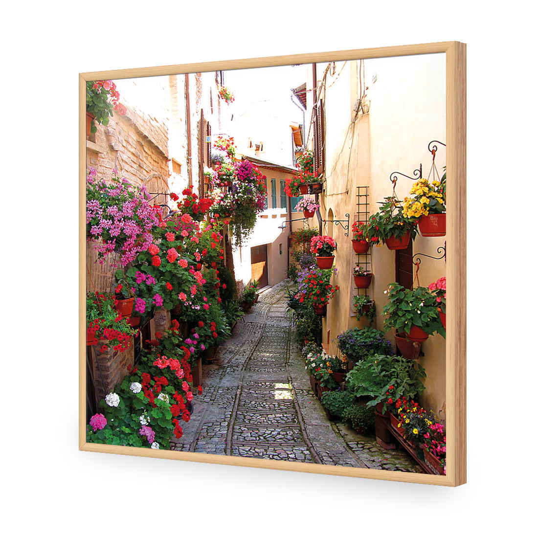 Floral Alley in Italy (square)