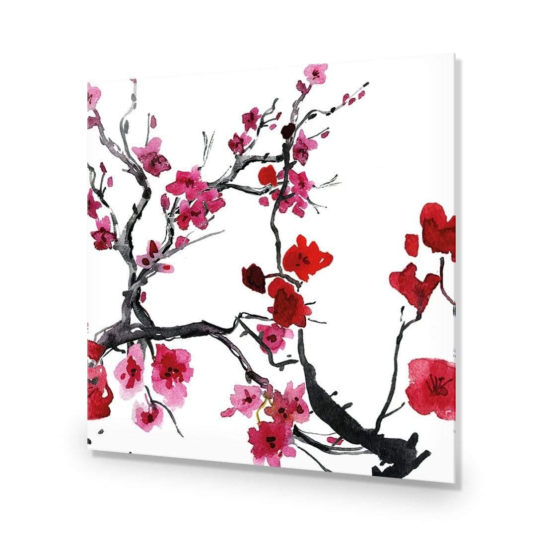 Cherry Blossom (square)