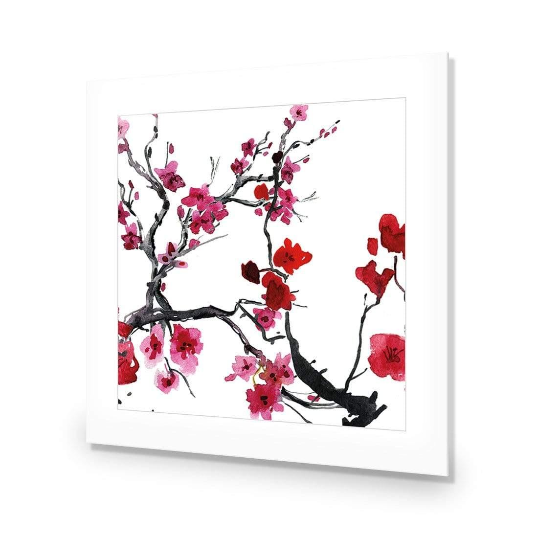 Cherry Blossom (square)