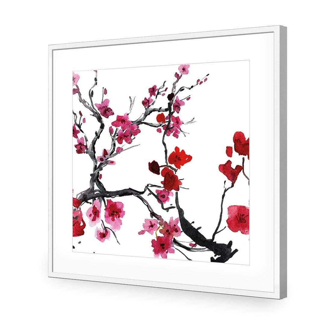 Cherry Blossom (square)