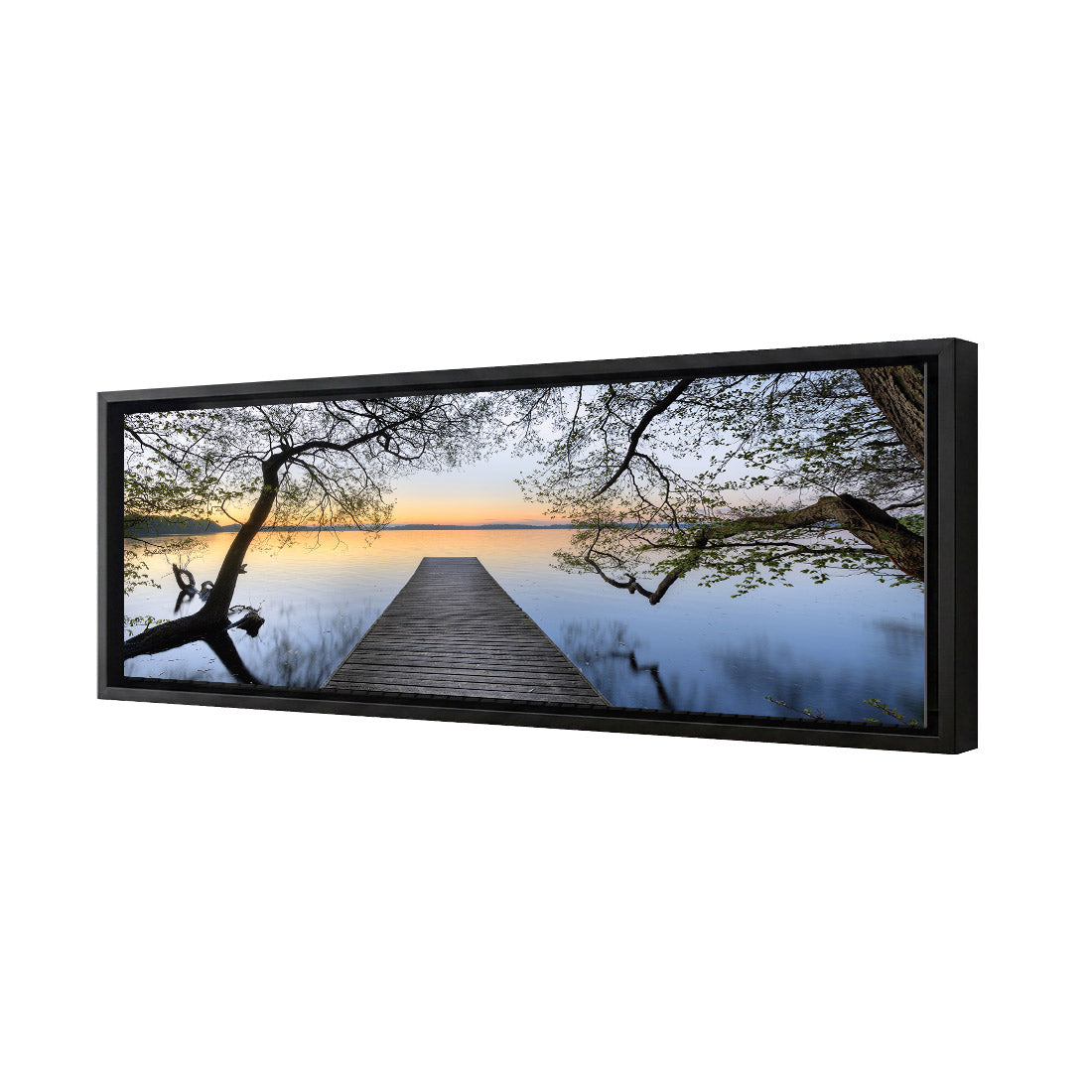 Escaped (long) | Premium Acrylic | Deep Floating Frame No Border | Black