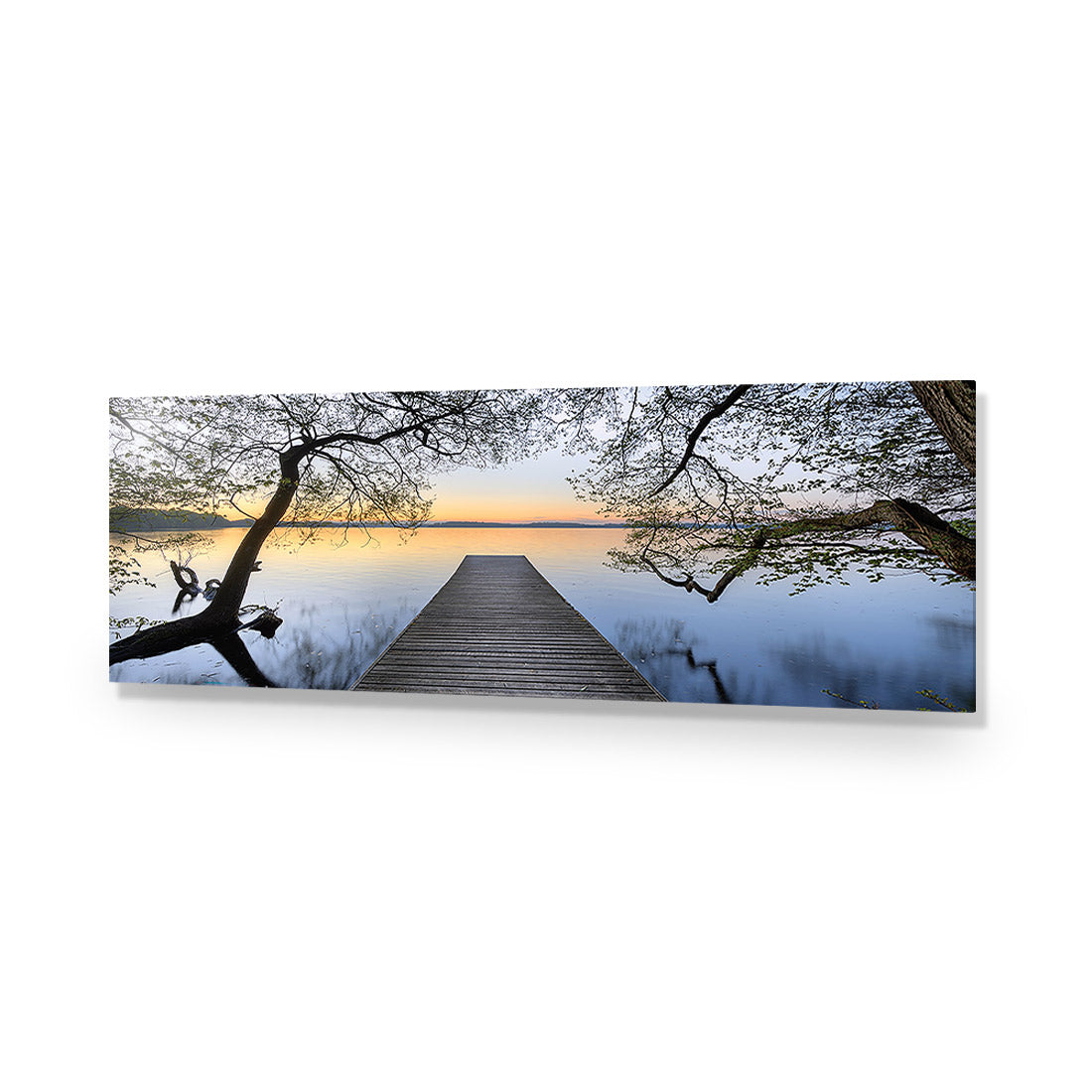 Escaped (long) | Classic Acrylic | No Frame No Border