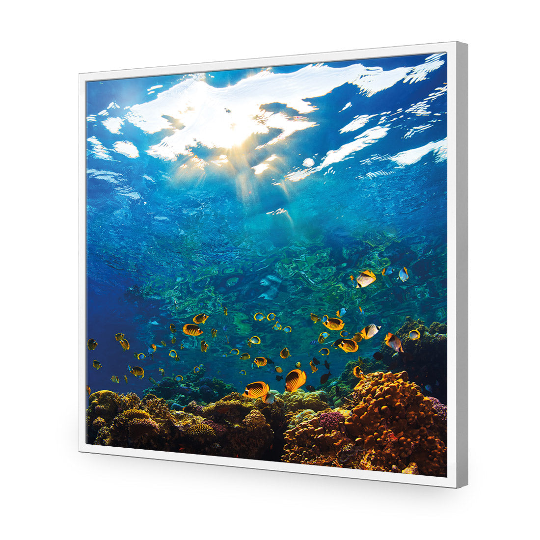 Tropical Depths (square)