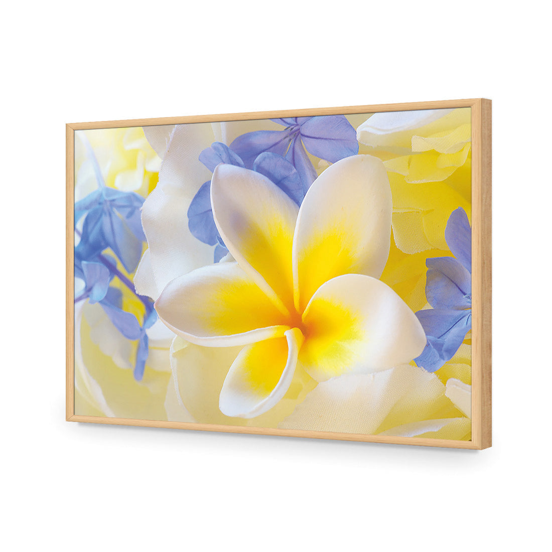 Frangipani and Cornflower