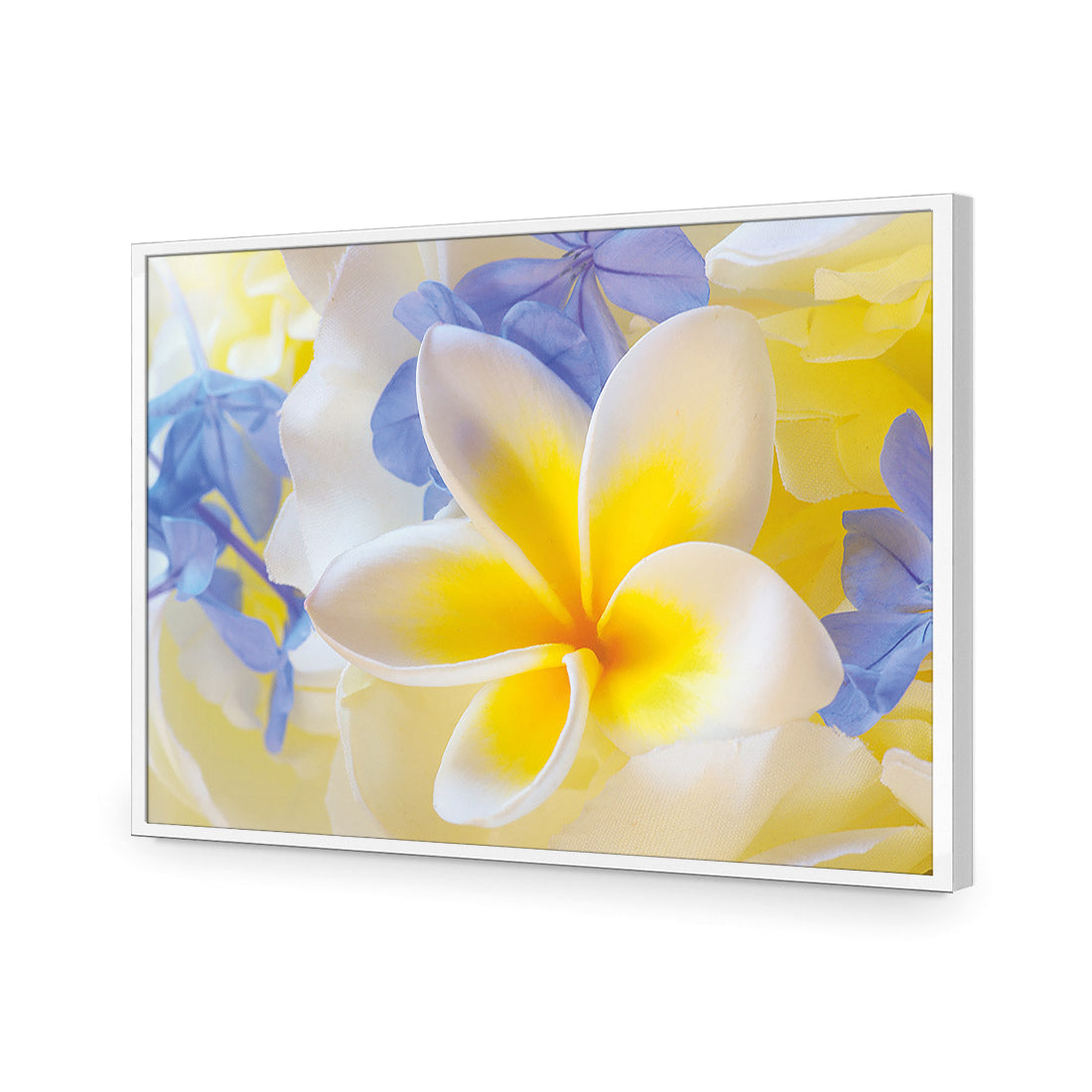 Frangipani and Cornflower