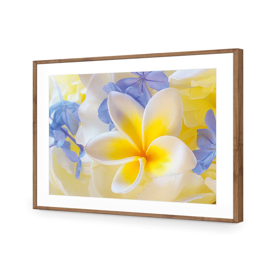 Frangipani and Cornflower