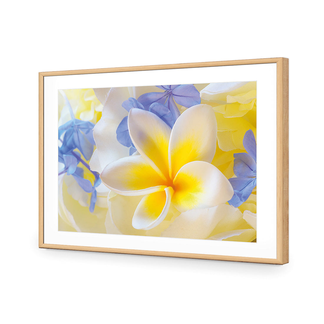 Frangipani and Cornflower