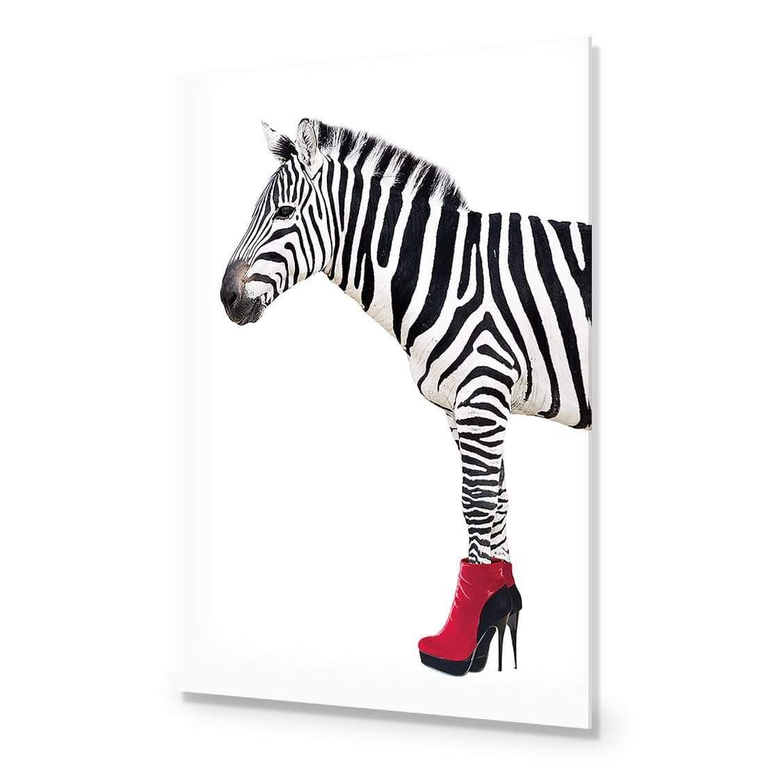 Zebra In Red Boots