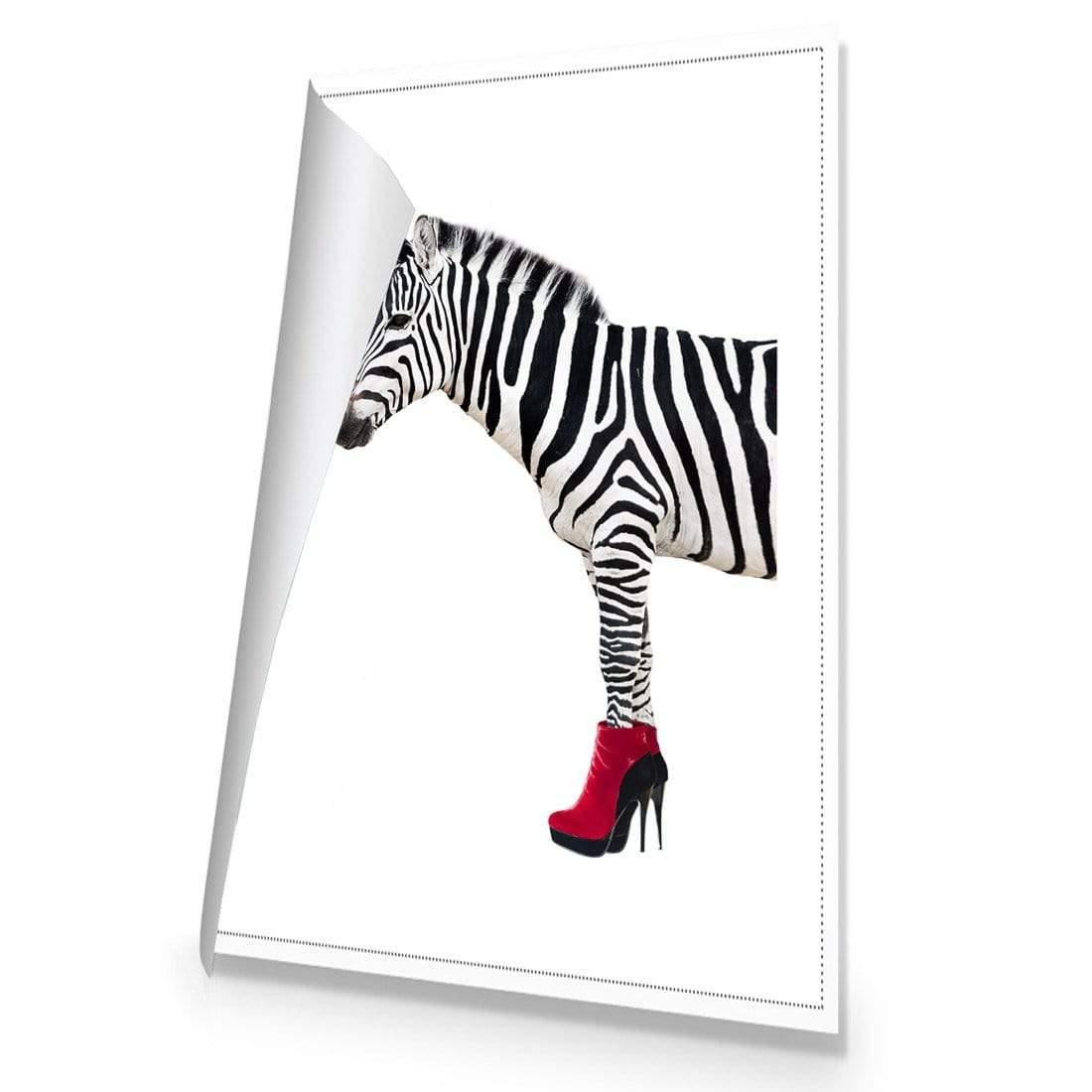 Zebra In Red Boots