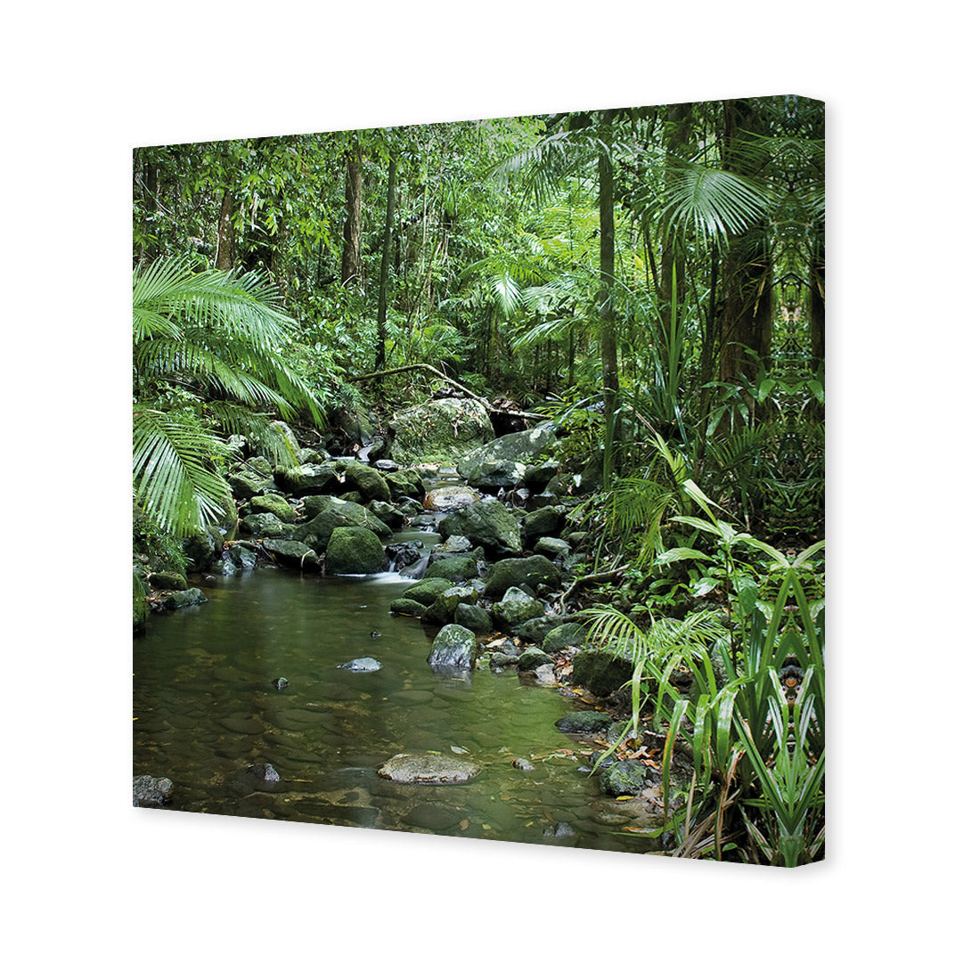 Mossman River In Daintree Rainforest (Square)