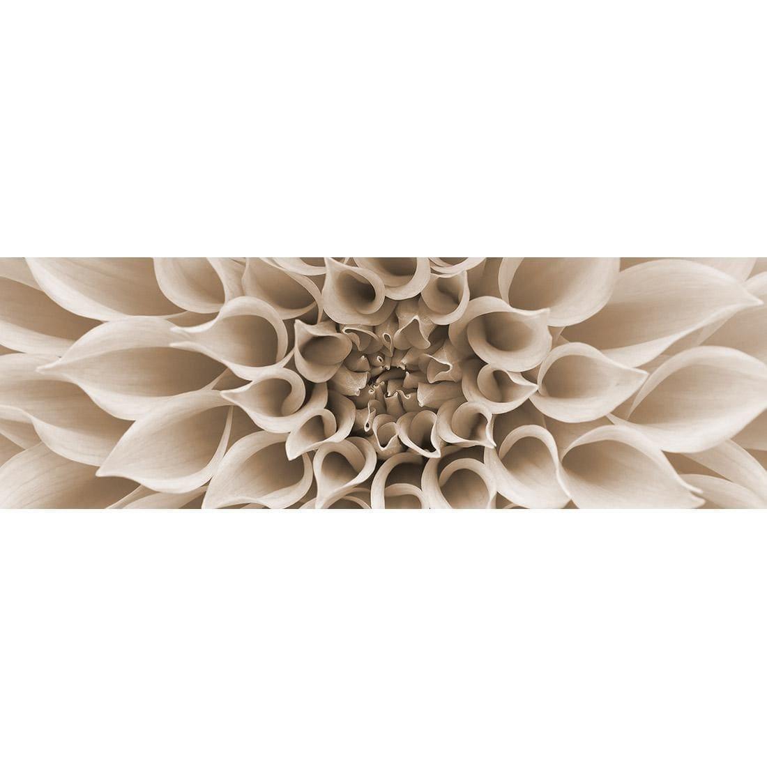 Dahlia Delight, Sepia (Long)