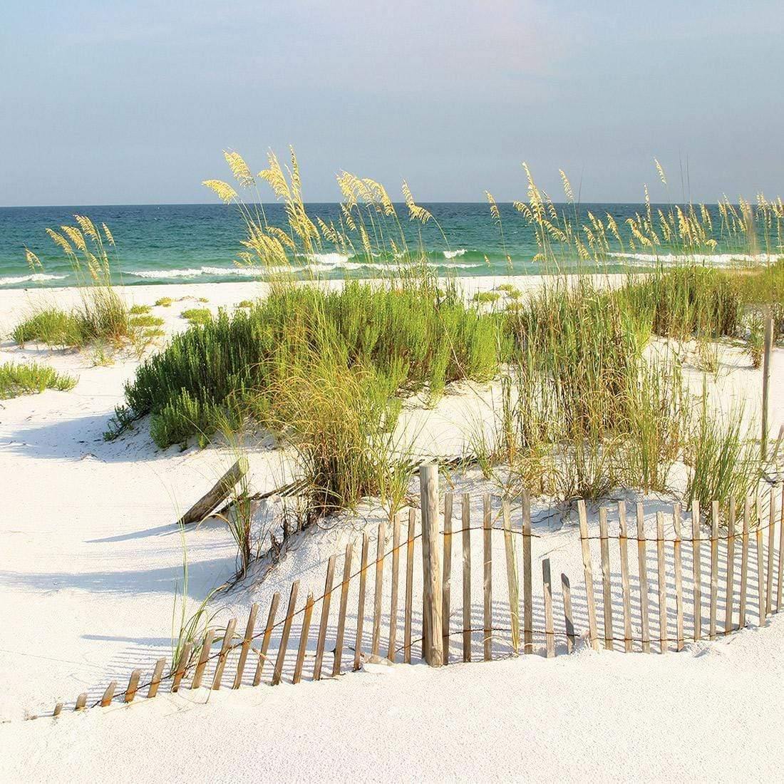 Sand Dune Reflections (Square)