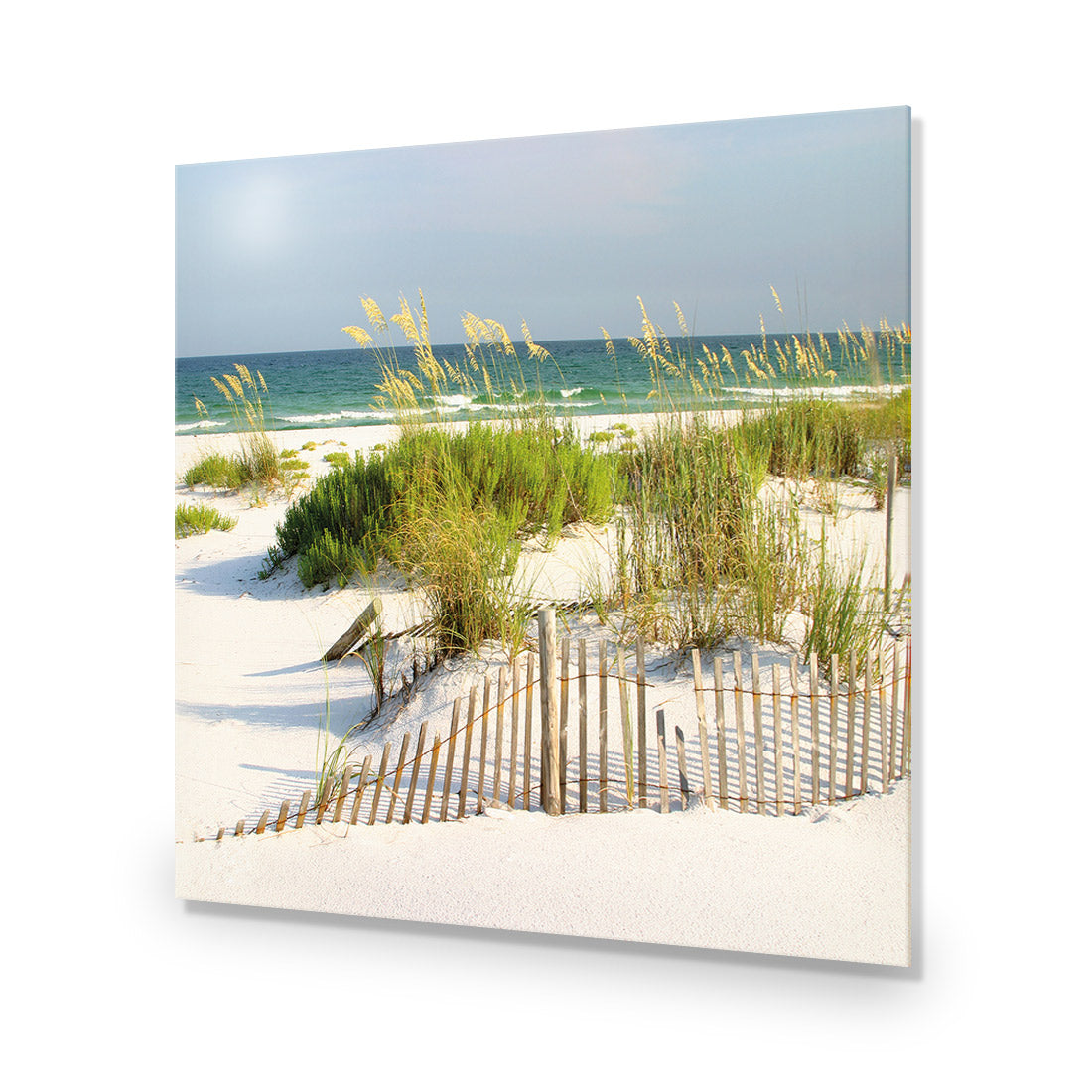 Sand Dune Reflections (Square)