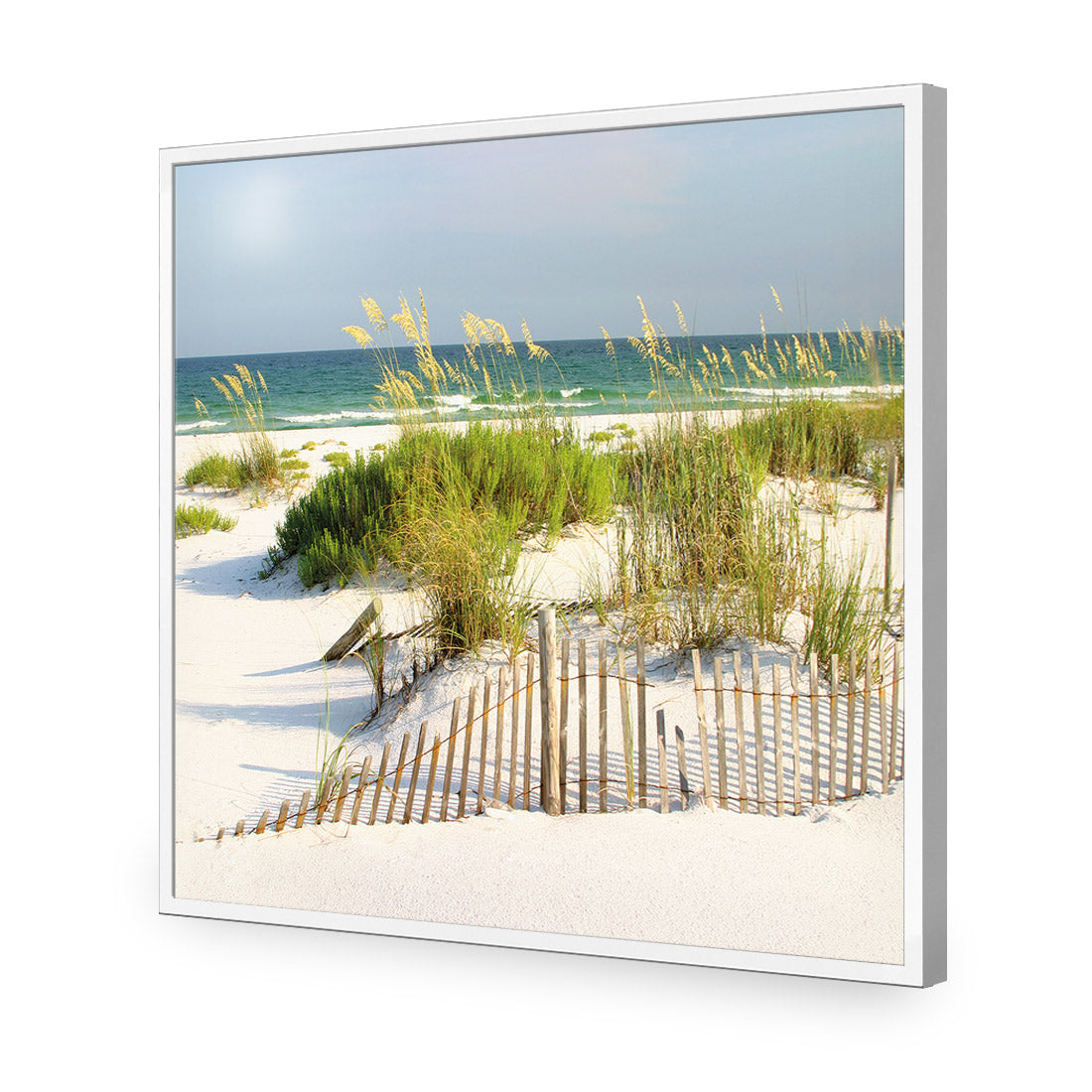 Sand Dune Reflections (Square)