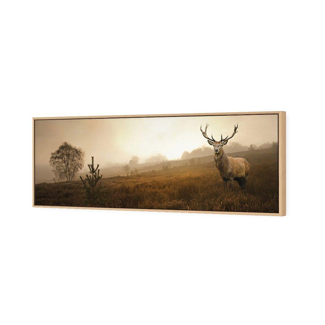 Morning Stag (Long) | Classic Canvas | Floating Frame | Oak
