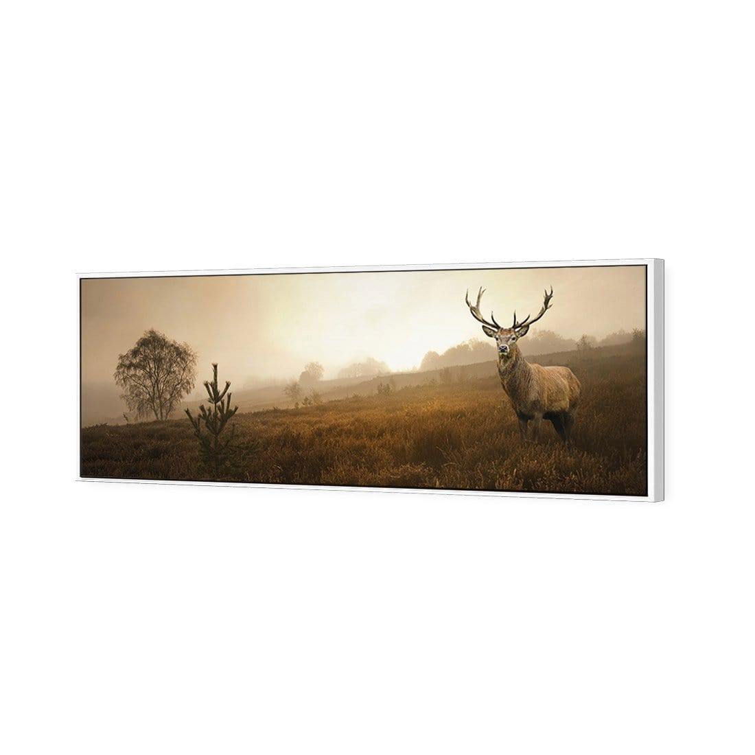 Morning Stag (Long) | Classic Canvas | Floating Frame | White