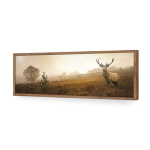 Morning Stag (Long) | Classic Acrylic | Flat Frame No Border | Natural