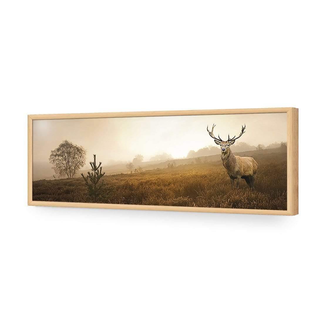 Morning Stag (Long) | Classic Acrylic | Flat Frame No Border | Oak