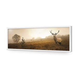 Morning Stag (Long) | Classic Acrylic | Flat Frame No Border | White