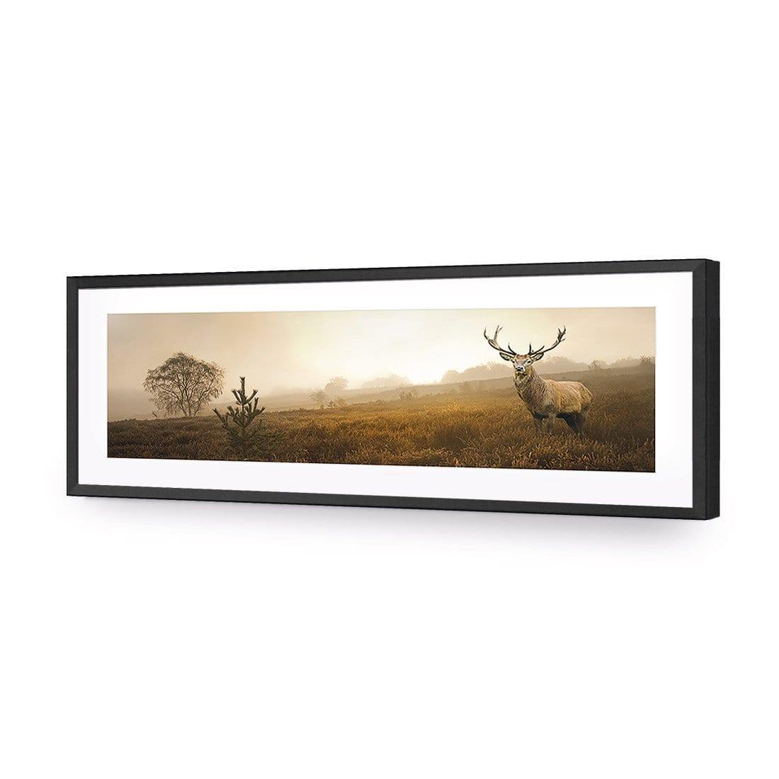 Morning Stag (Long) | Classic Acrylic | Flat Frame With Border | Black