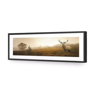 Morning Stag (Long) | Classic Acrylic | Flat Frame With Border | Black