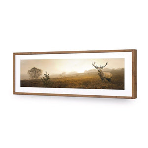 Morning Stag (Long) | Classic Acrylic | Flat Frame With Border | Natural
