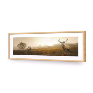 Morning Stag (Long) | Classic Acrylic | Flat Frame With Border | Oak