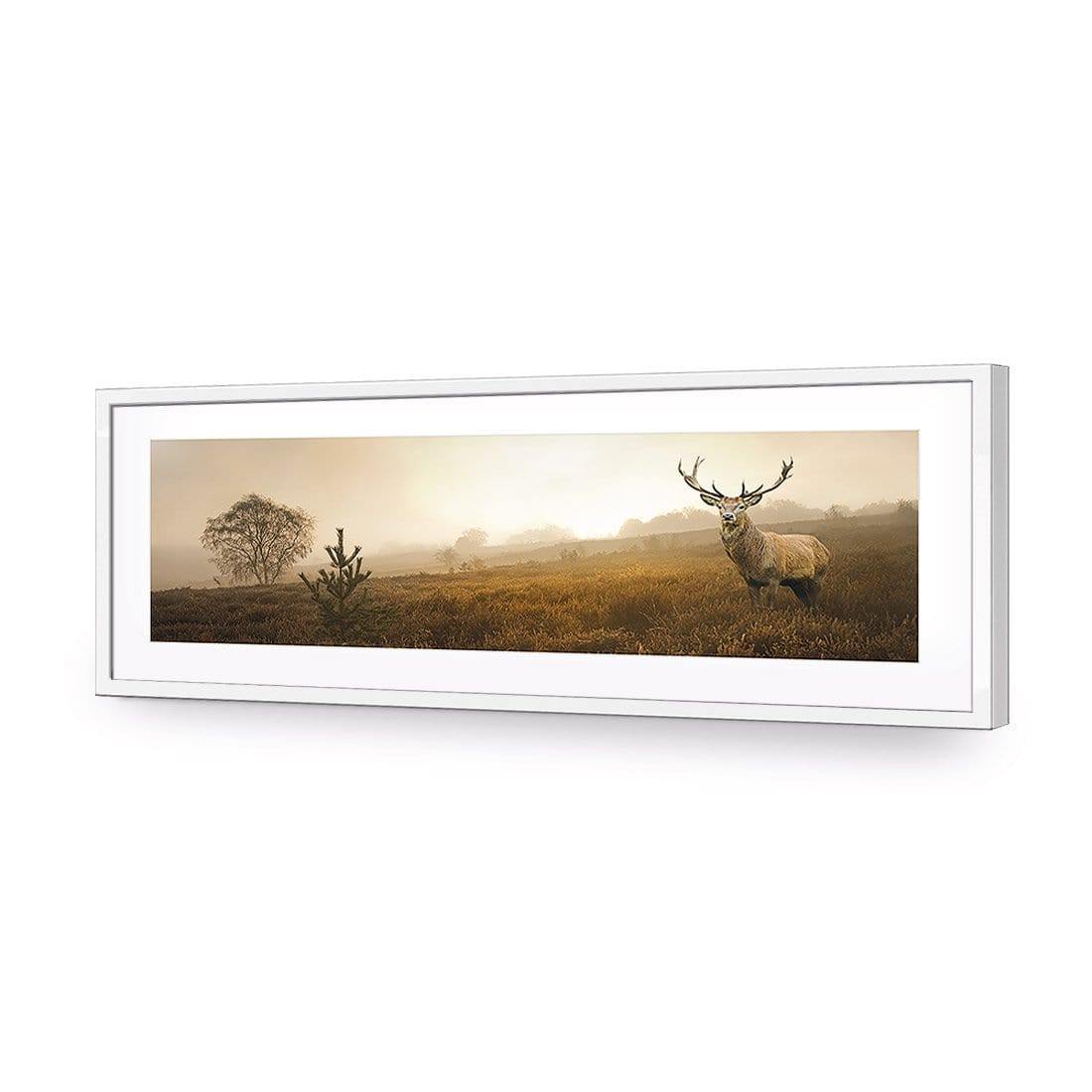Morning Stag (Long) | Classic Acrylic | Flat Frame With Border | White
