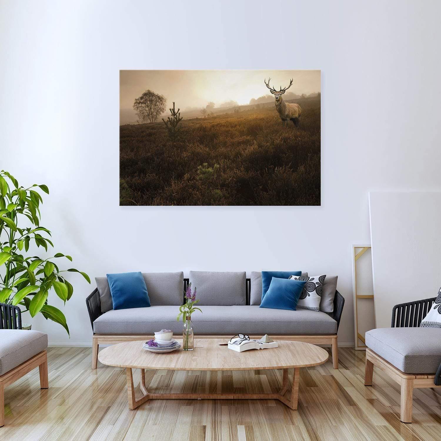 Morning Stag