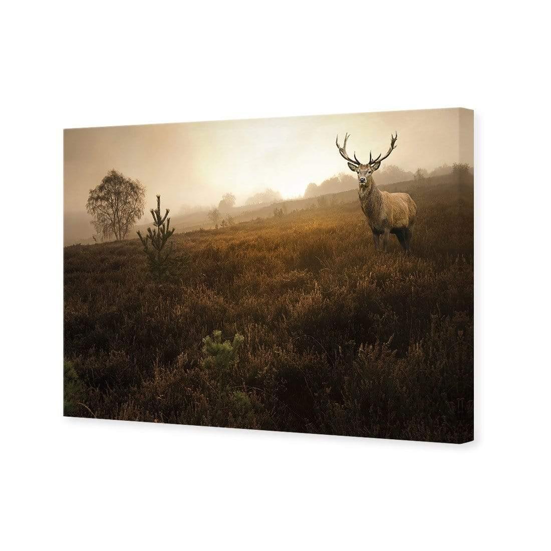 Morning Stag | Classic Canvas | No Frame | Stretched Canvas